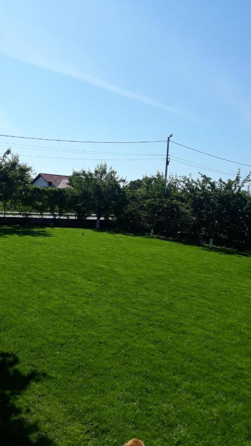 Vila Alexa Costinești Kültér fotó