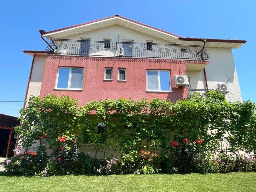 Vila Alexa Costinești Kültér fotó
