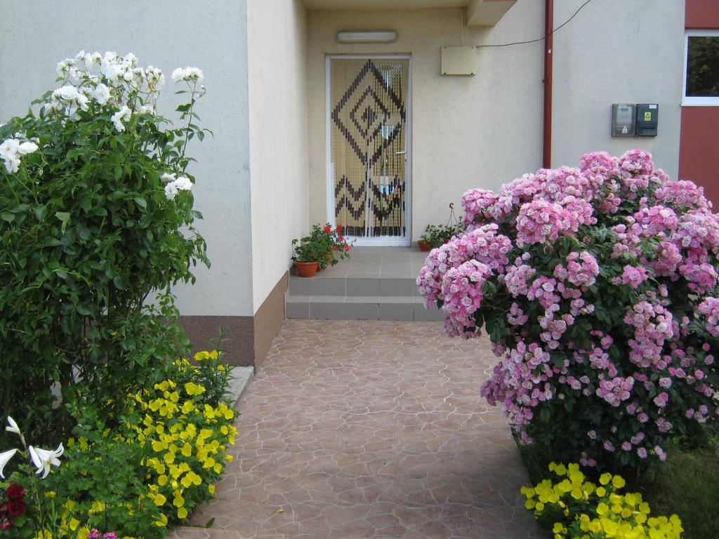 Vila Alexa Costinești Kültér fotó
